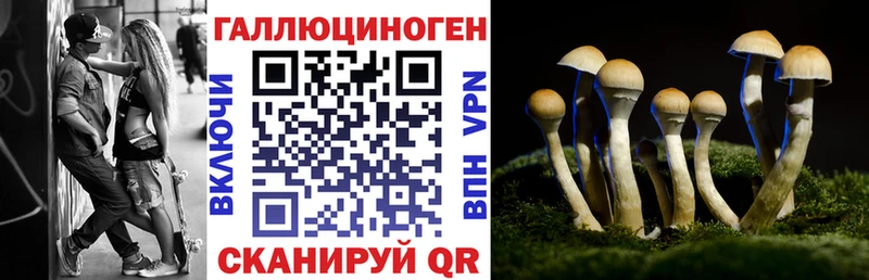 Галлюциногенные грибы Cubensis  ОМГ ОМГ   Циолковский 